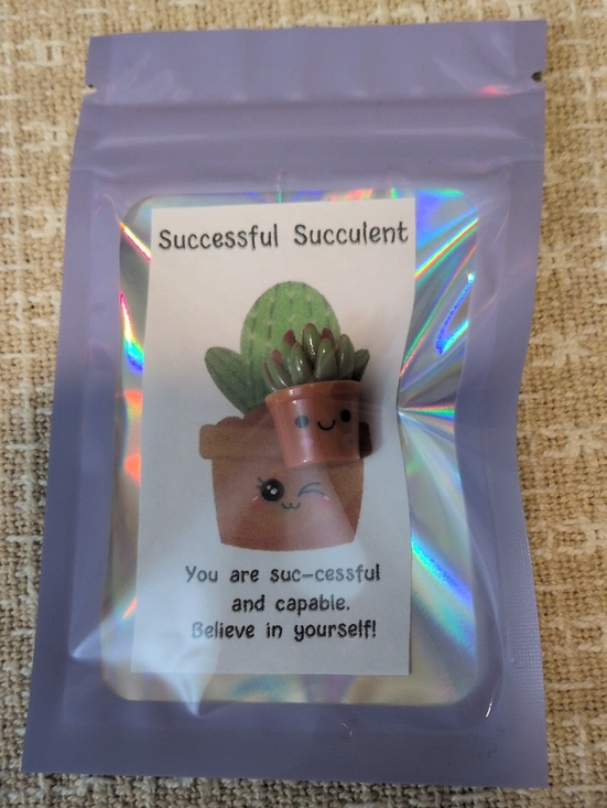 Handmade Other - Successful Succulent Miniature